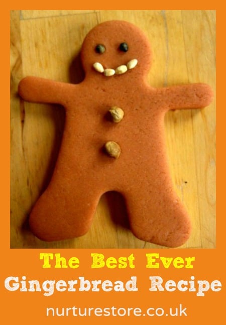 Gingerbread recipe - NurtureStore