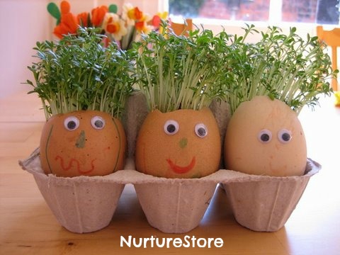 How to Grow Your Own Cress Egg Heads