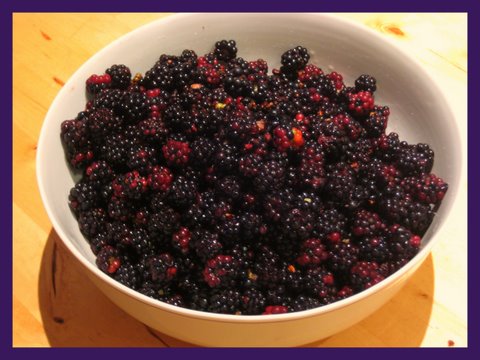 cooking with blackberries