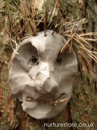 faces in trees