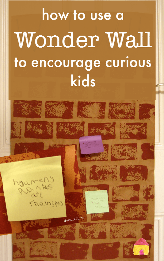 How to use a Wonder Wall to encourage kids' questions :: classroom organisation