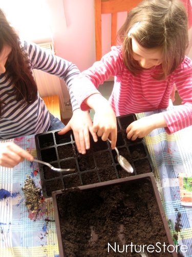 how to plant seeds
