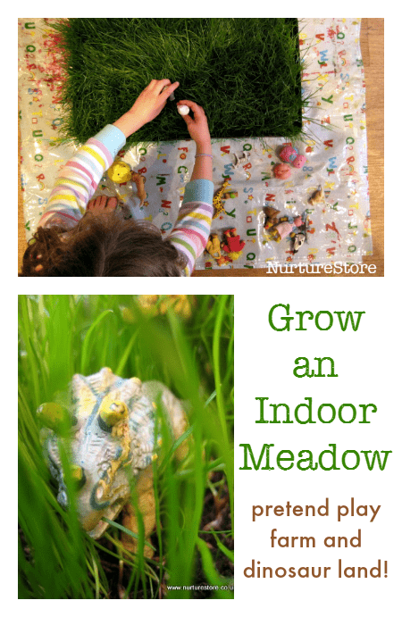 earth day activities - grow an indoor meadow for pretend play farm and dinosaur land