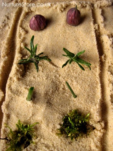 fairy garden allotment