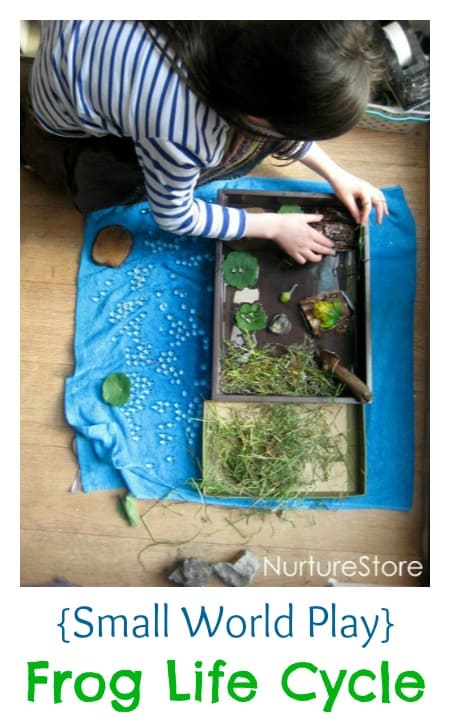 Wonderful nature small world play :: frog life cycle. Great loose parts play for science and nature study and sensory play.
