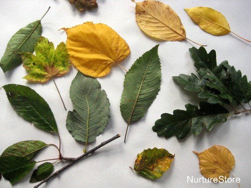 autumn leaf craft