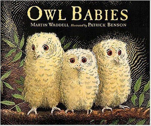 Owl-Babies