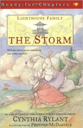 The-Storm