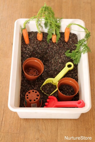 spring sensory tub rice