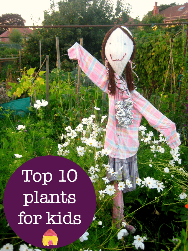 top ten easy plants to grow with kids