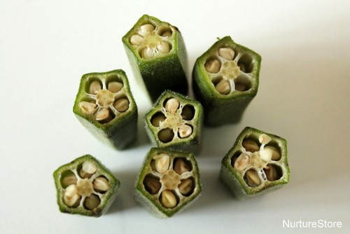 okra flower printing craft