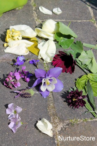 making mandalas with children using natural materials