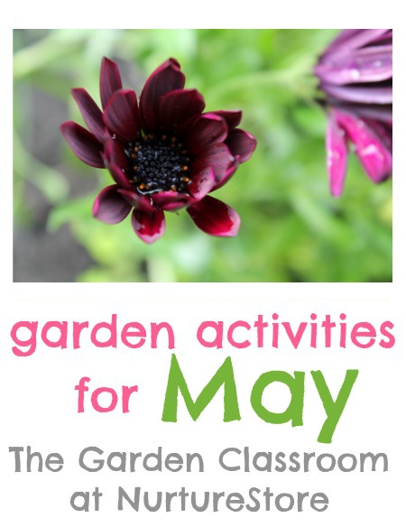 Great tips and garden activities for May with ideas for gardening with kids