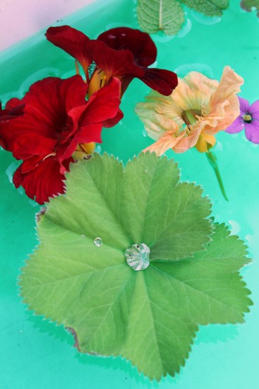 sensory play with flowers