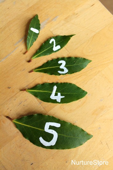 nature play math games