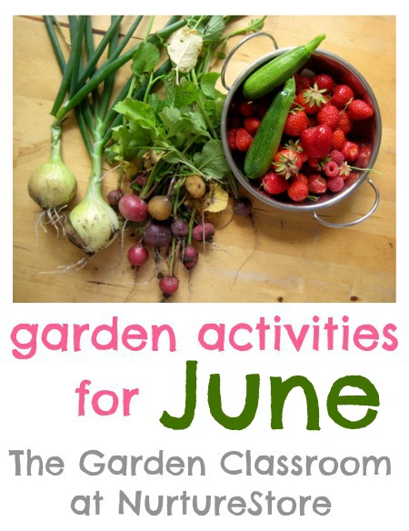 Garden plans for each month of the year