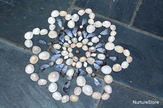 mandalas for kids using shells