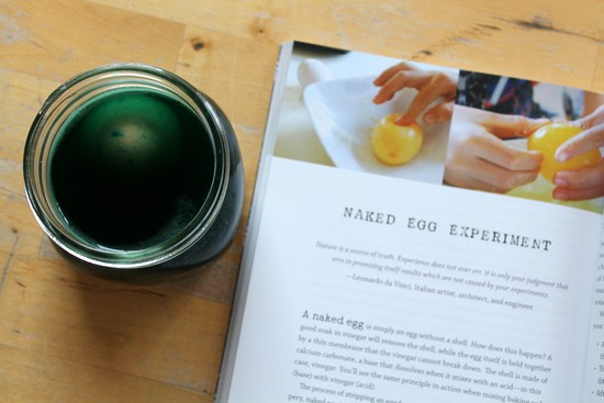 naked egg experiment for kids