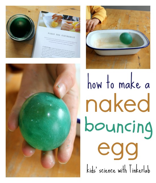 Great kids science with Tinkerlab :: naked egg experiment