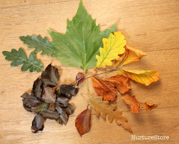 autumn leaves crafts