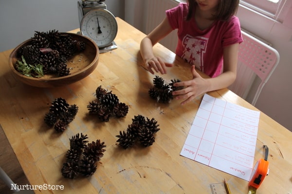 counting with pine cones math