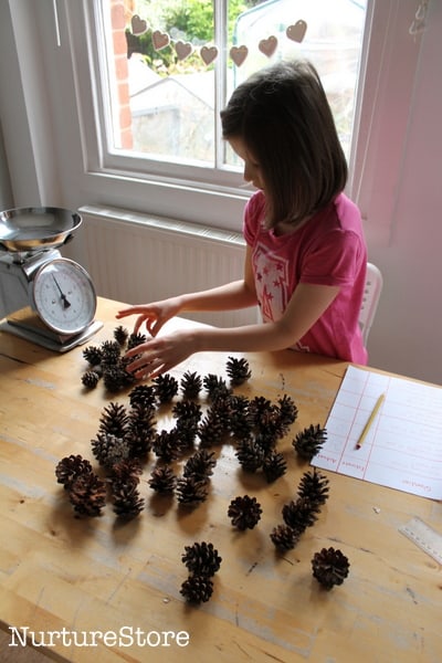 size comparison with pine cones math