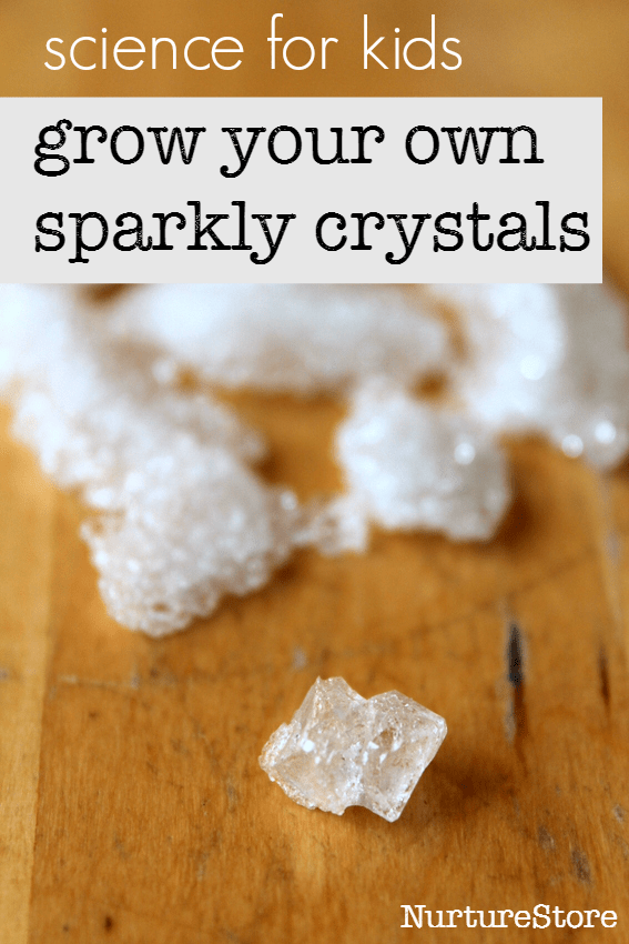 Cool and easy science project for kids! How to grow crystals with alum 