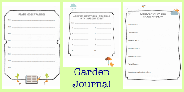 Preschool Garden Observation Journal