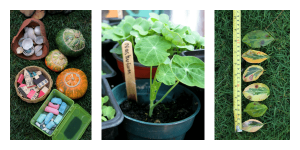 gardening with kids