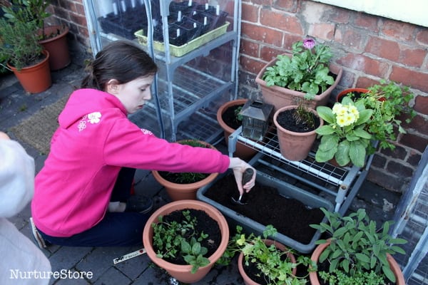 how to plant strawberries in containers