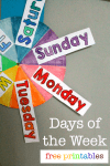 Free days of the week printable spinner - NurtureStore