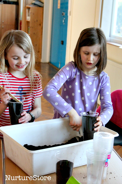 children planting sunflowers science experiment