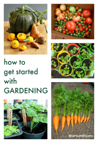 how to start a garden with kids