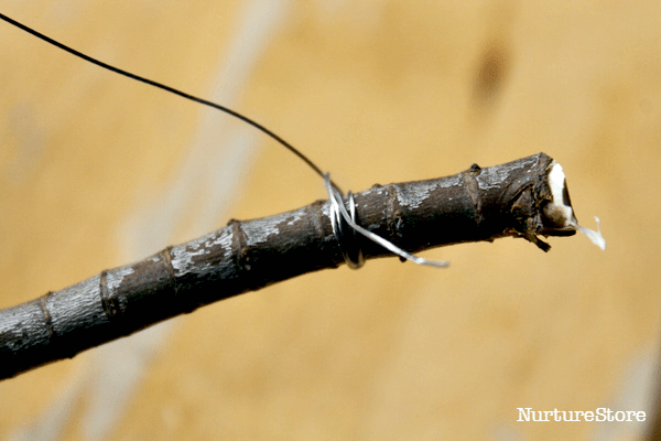 make a musical instrument from a stick