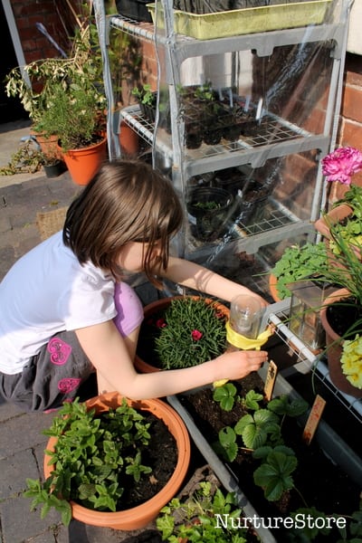 setting up a backyard weather station