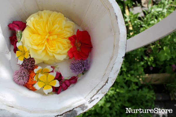 reasons children should pick flowers