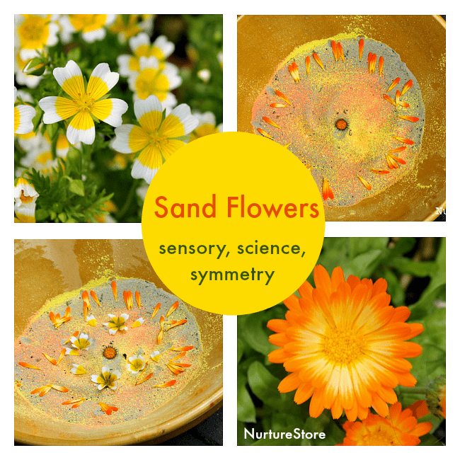 sand flowers july 22nd fb