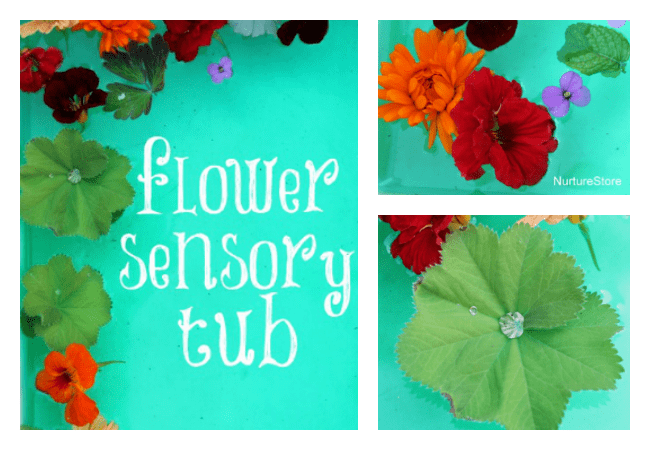 flower sensory tub