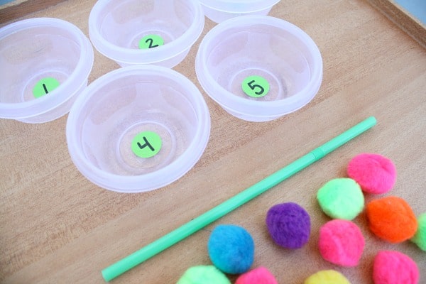 Pom Pom Counting Game Materials