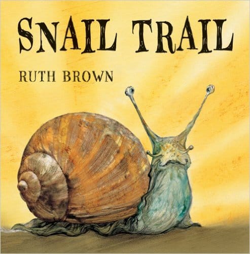 snail-trail