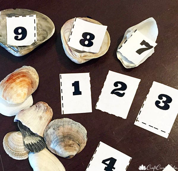 printable numbers activity seaside theme