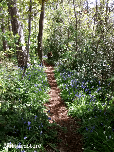 nature walk activities for children