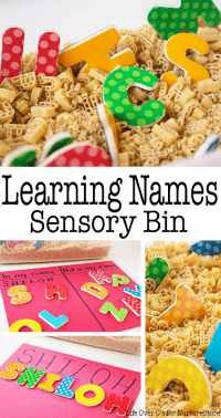 name-sensory-bin-pin