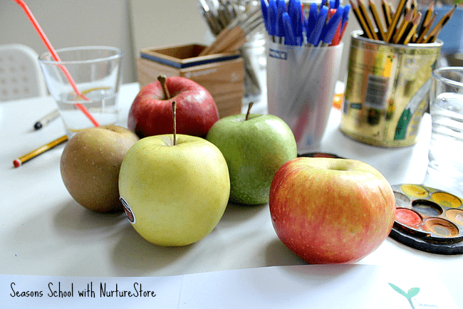 Taste Test - Apples to Apples - Honeycrisp or SweeTango? • Salt