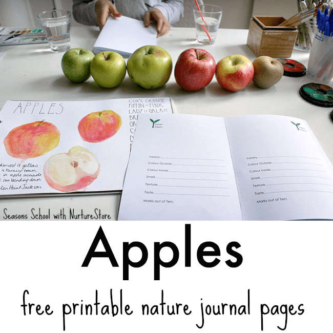 Printable apple taste test sheet - NurtureStore