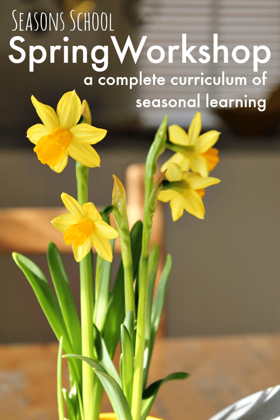 Spring curriculum plans for art based learning, spring activities, spring crafts, spring lesson plans