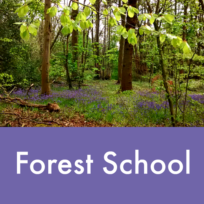 forest school