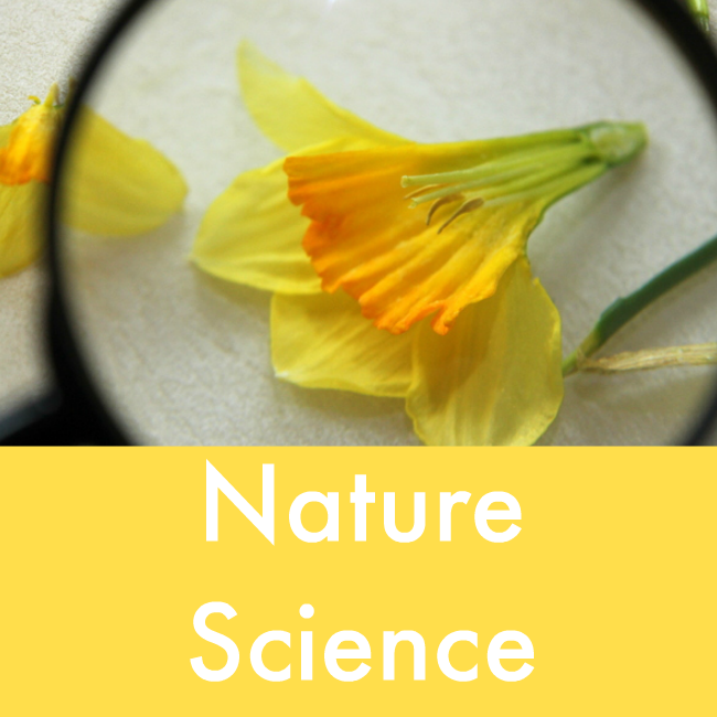 nature science