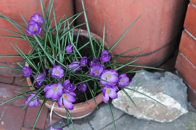 Activities to celebrate the Spring Equinox with children