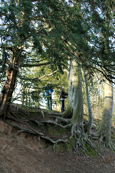 themed nature walk ideas for kids